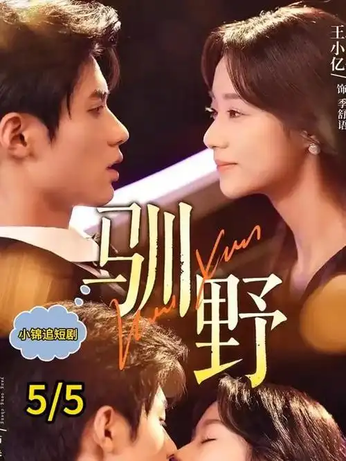 菲菲影院家庭短剧《丈母娘的三条家规》海报